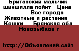 Британский мальчик шиншилла-пойнт › Цена ­ 5 000 - Все города Животные и растения » Кошки   . Брянская обл.,Новозыбков г.